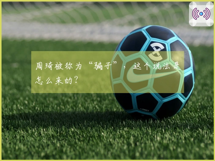 周琦被称为“骗子”，这个说法是怎么来的？