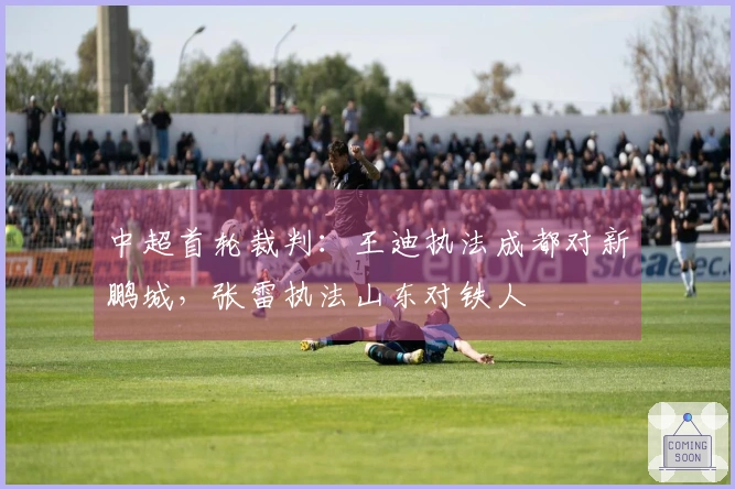 中超首轮裁判：王迪执法成都对新鹏城，张雷执法山东对铁人