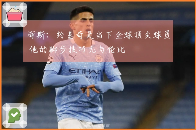 海斯：约基奇是当下全球顶尖球员 他的脚步技巧无与伦比